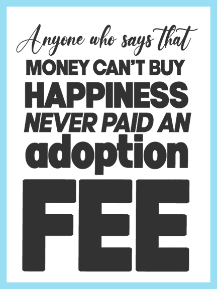 adoption-fee