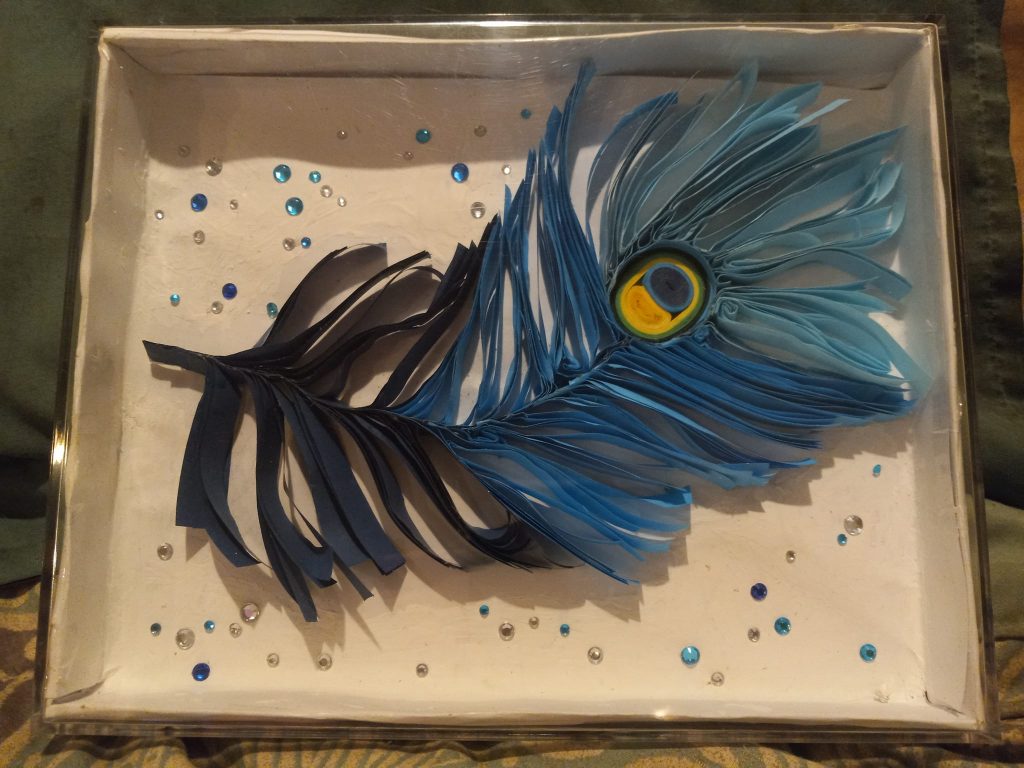 Peacock Feather in Shadowbox