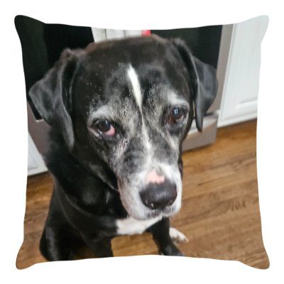 Custom Photo Pillow - Image 5