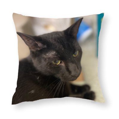 Custom Photo Pillow - Image 11