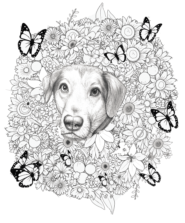 Custom Pet Portrait Coloring Page/Coloring Poster - Image 6