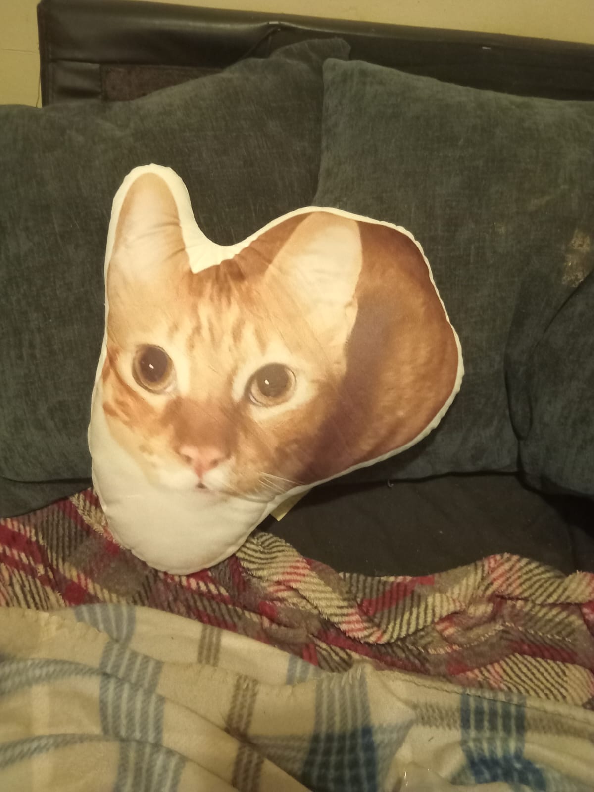 Custom Photo Pillow - Cut Out - Image 2