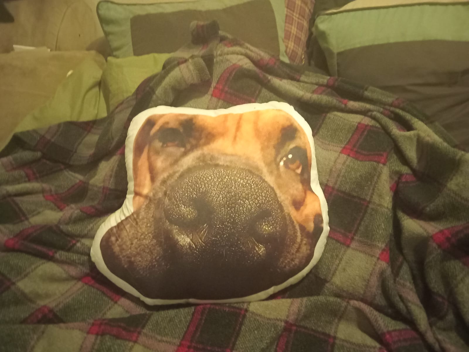 Custom Photo Pillow - Cut Out - Image 5