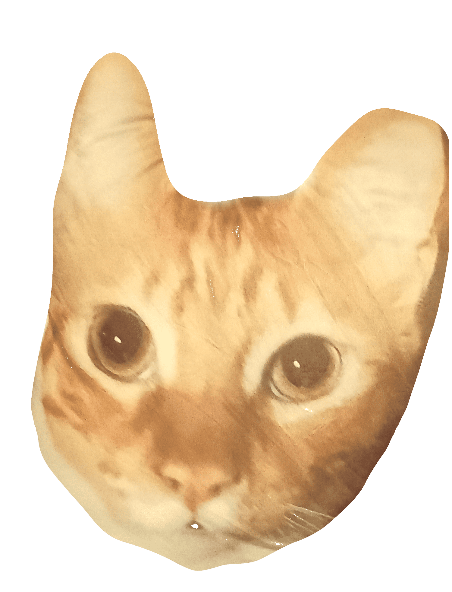 Custom Photo Pillow - Cut Out - Image 4