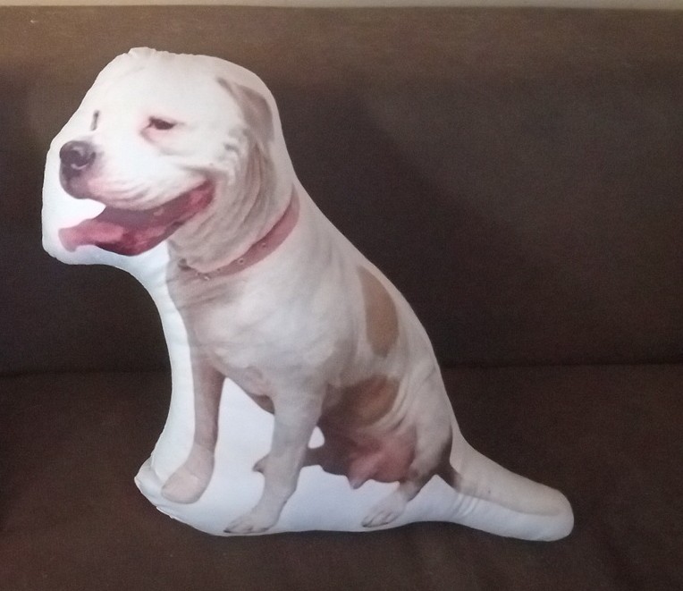 Custom Photo Pillow - Cut Out