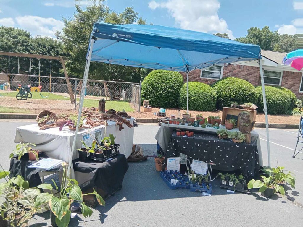 My first booth as a 'plant only' vendor... Not too bad, right?! @ Plant Party at Mountain Perk in Stone Mountain, GA