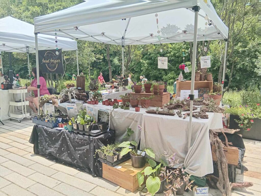 Plant market off the Beltine in Atlanta hosted by Grounded Exchange & Common Ground